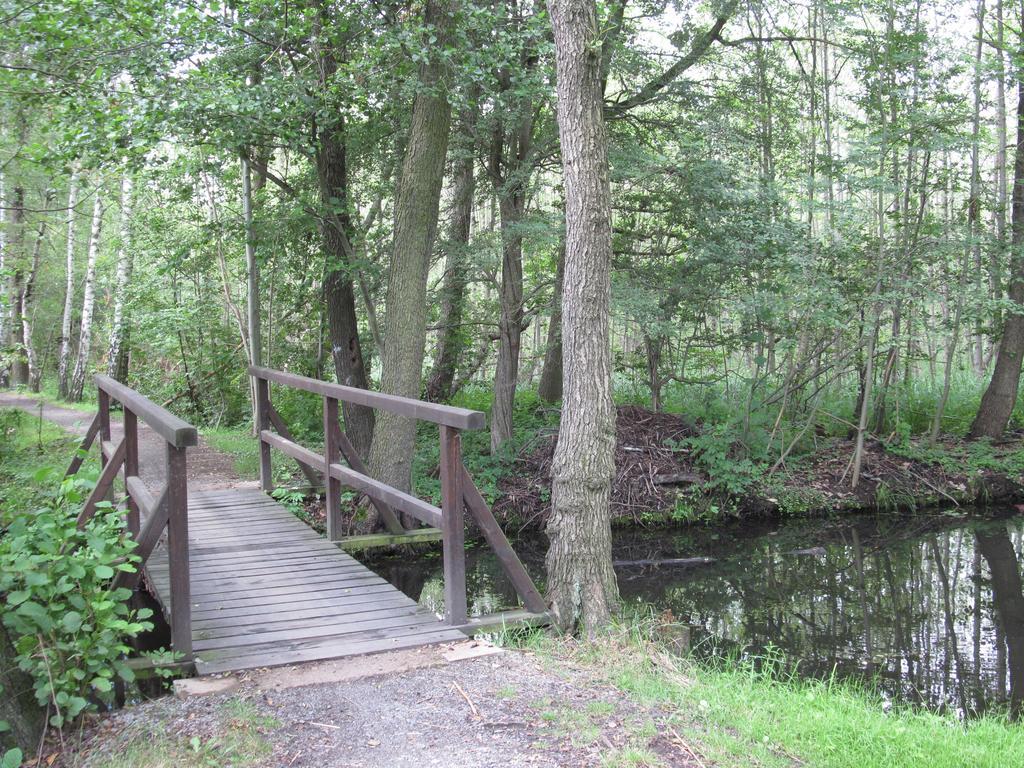 LübbenSpreewaldhaus Zum Schoberplatzアパートメント エクステリア 写真