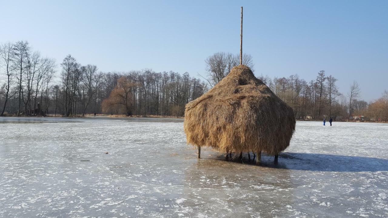 LübbenSpreewaldhaus Zum Schoberplatzアパートメント エクステリア 写真