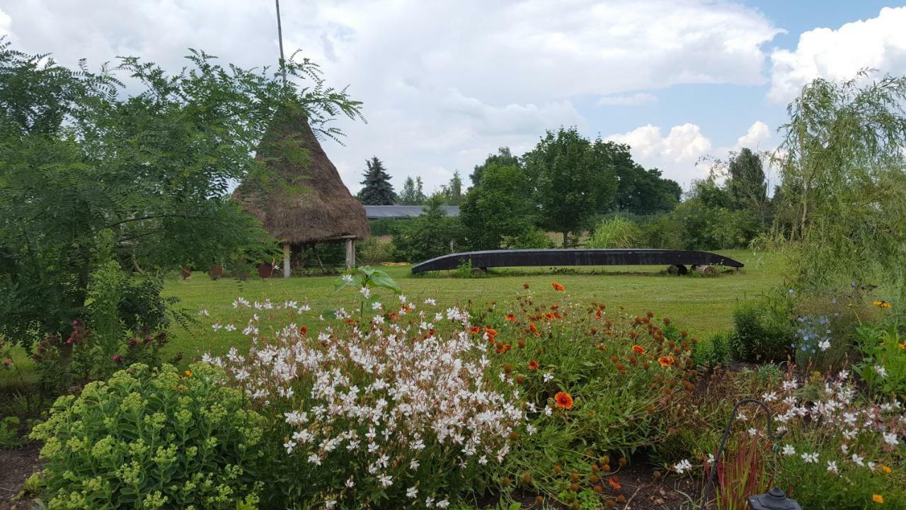 LübbenSpreewaldhaus Zum Schoberplatzアパートメント エクステリア 写真