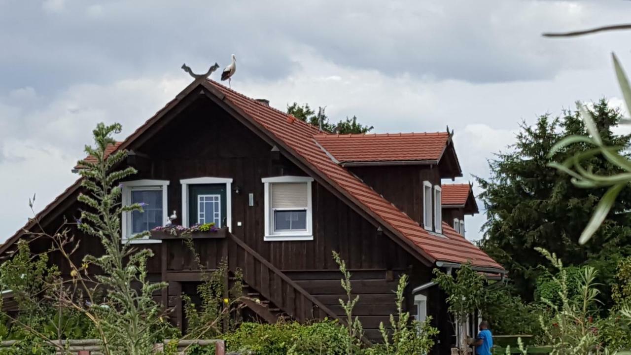 LübbenSpreewaldhaus Zum Schoberplatzアパートメント エクステリア 写真